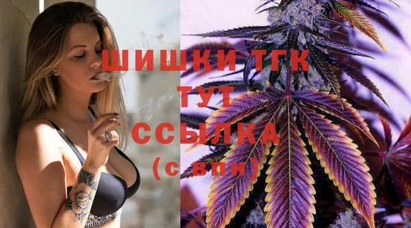 индика Володарск