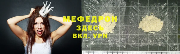 индика Володарск