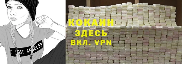 индика Володарск
