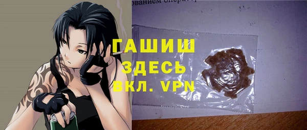 индика Володарск