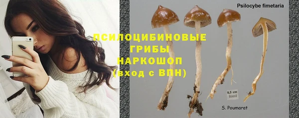 ПСИЛОЦИБИНОВЫЕ ГРИБЫ Волоколамск