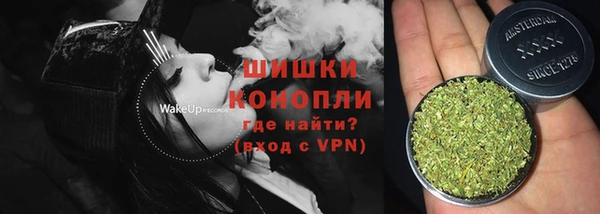 индика Володарск