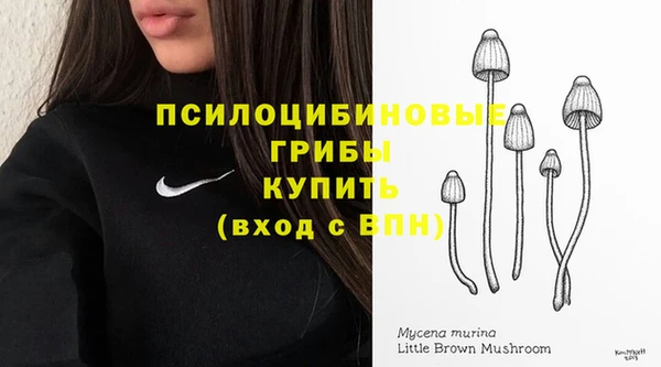ECSTASY Волосово