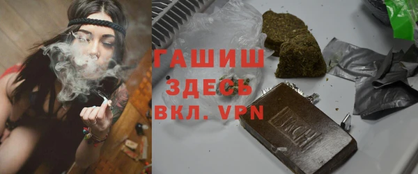 индика Володарск