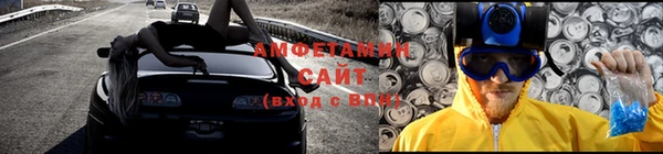 индика Володарск