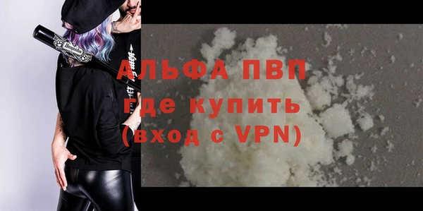 индика Володарск