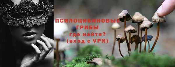ПСИЛОЦИБИНОВЫЕ ГРИБЫ Волоколамск