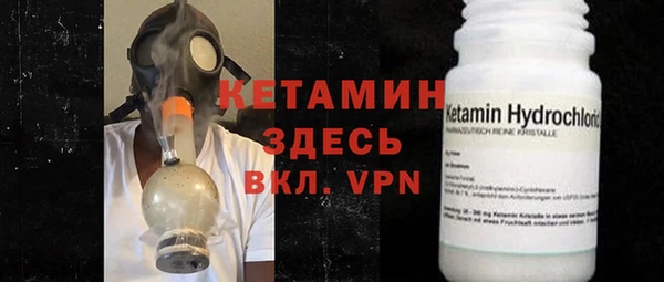 индика Володарск