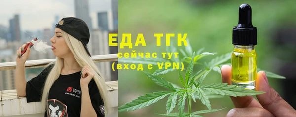 индика Володарск