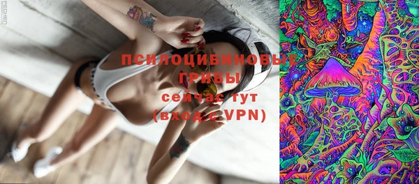 ПСИЛОЦИБИНОВЫЕ ГРИБЫ Волоколамск