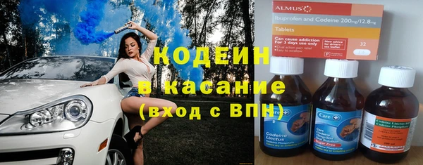 индика Володарск