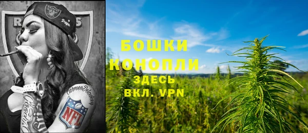 индика Володарск
