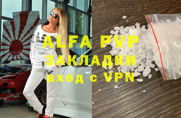 индика Володарск