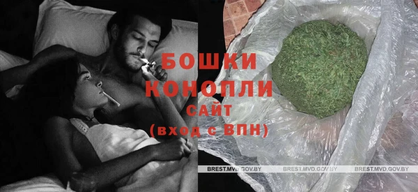 индика Володарск
