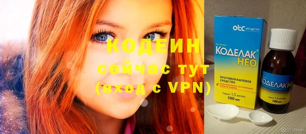 индика Володарск