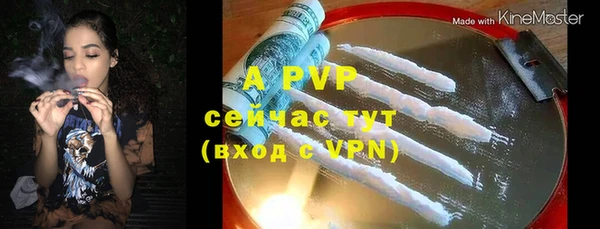 индика Володарск