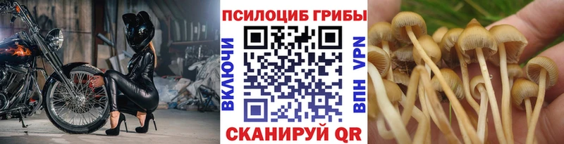 МЕГА рабочий сайт  Новый Оскол  Псилоцибиновые грибы GOLDEN TEACHER 